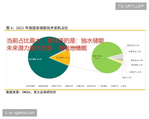 帕尔默职业生涯上限是否有限?发展潜力与兑现空间分析 帕尔默职业生涯上限是否有限?发展潜力与兑现空间分析